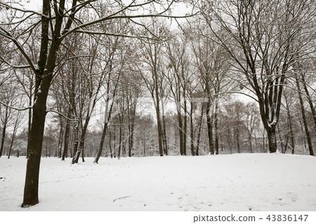 Winter time Winter time 43836147