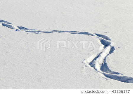 traces of the past person 43836177