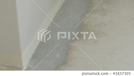 closeup applied primer on the floor closeup applied primer on the floor 43837305