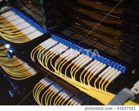 Optical cable wiring 43837381