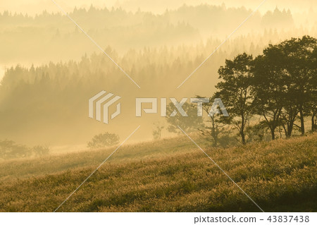 Morning of the plateau 43837438
