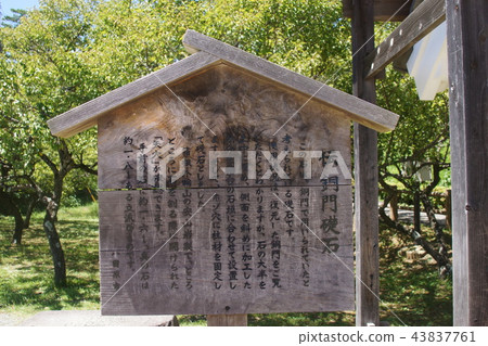 Odawara Castle Park Odawara Castle Park 43837761