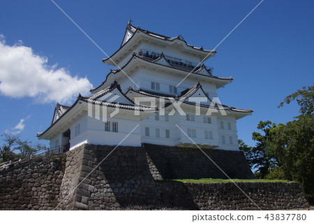 Odawara Castle Park 43837780