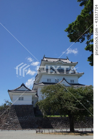 Odawara Castle Park 43837784