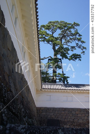 小田原城公園 43837792