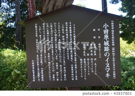 Odawara Castle Park Odawara Castle Park 43837801