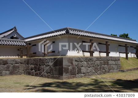 Odawara Castle Park 43837809