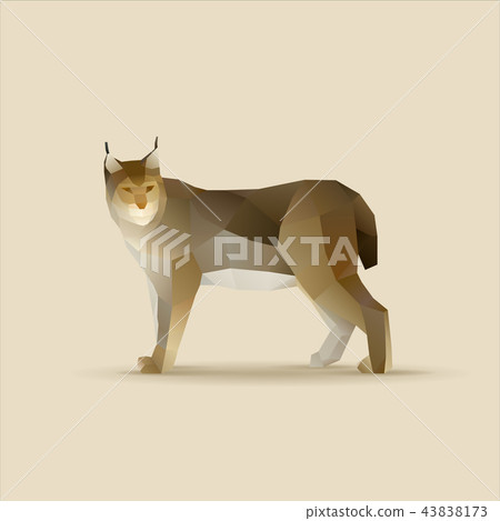 Polygonal vector illustration of lynx Polygonal vector illustration of lynx 43838173
