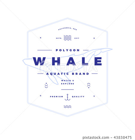 Polygonal Whale Badge on White Polygonal Whale Badge on White 43838475