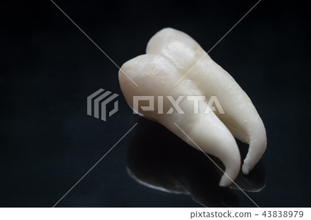 A wisdom tooth 43838979