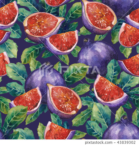 Seamless pattern of fig fruits and leaves. 43839302