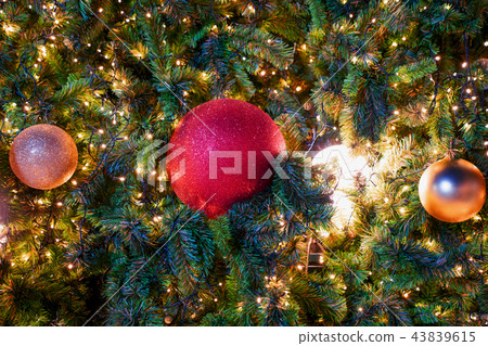Closeup christmas tree and red ball hanging Closeup christmas tree and red ball hanging 43839615