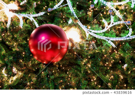 Closeup christmas tree and red ball hanging Closeup christmas tree and red ball hanging 43839616
