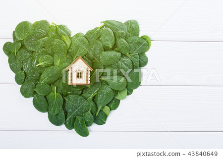 Ecological concept, Eco-friendly home 43840649