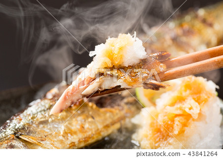 Eat freshly baked saury 43841264