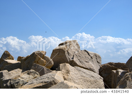 A reef in Wakatsuki Beach Park 43841540