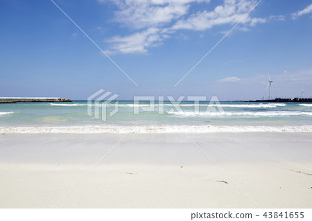Woljeong-ri Beach, Gujwa-eup, Jeju-si, Jeju-do Woljeong-ri Beach, Gujwa-eup, Jeju-si, Jeju-do 43841655