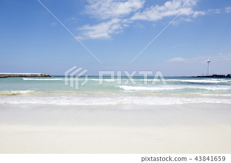 Woljeong-ri Beach, Gujwa-eup, Jeju-si, Jeju-do 43841659