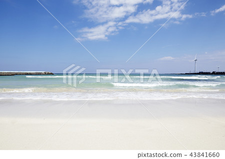 Woljeong-ri Beach, Gujwa-eup, Jeju-si, Jeju-do 43841660