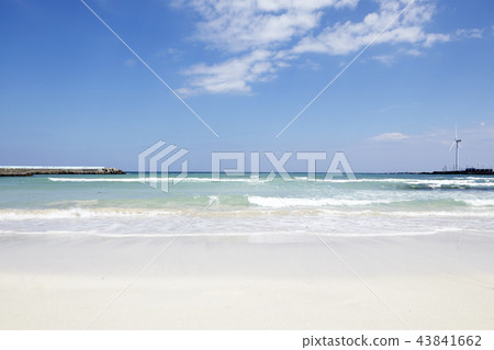 Woljeong-ri Beach, Gujwa-eup, Jeju-si, Jeju-do 43841662