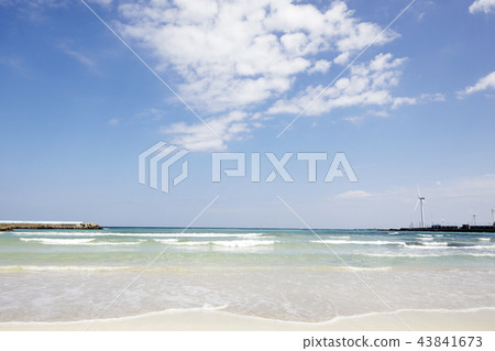Woljeong-ri Beach, Gujwa-eup, Jeju-si, Jeju-do Woljeong-ri Beach, Gujwa-eup, Jeju-si, Jeju-do 43841673