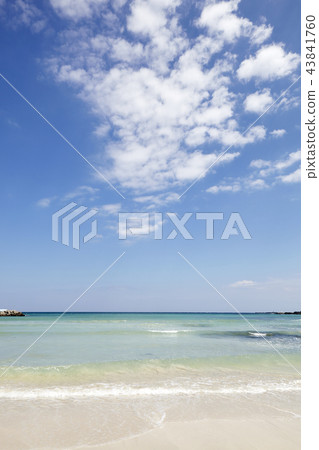 位於濟州島濟州市Gujwa-eup的Woljeong-ri海灘 43841760