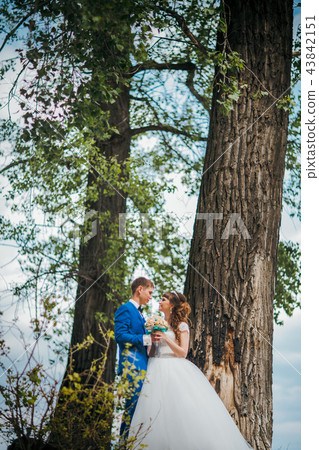 bride and groom standing  hugging on background 43842151