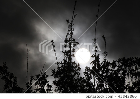 I was fascinated by the monochrome scenery I was fascinated by the monochrome scenery 43842860