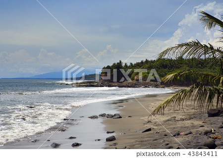 Bali, Indonesia. Beach by the sea with tropical pl Bali, Indonesia. Beach by the sea with tropical pl 43843411