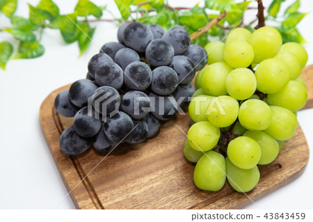 葡萄成分 葡萄成分 43843459