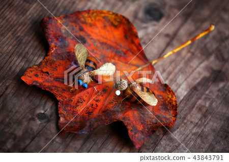 Handmade bee acorn table autumn leaf Handmade bee acorn table autumn leaf 43843791