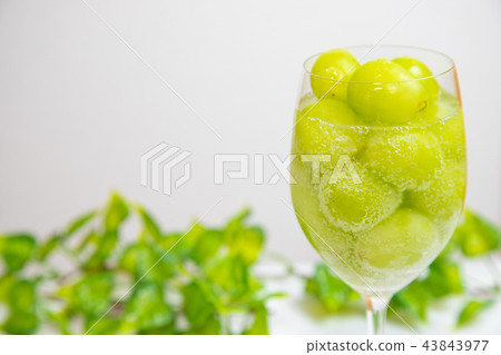 Wine champagne 43843977