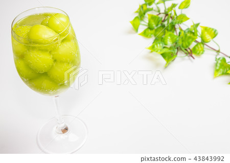 Wine champagne Wine champagne 43843992