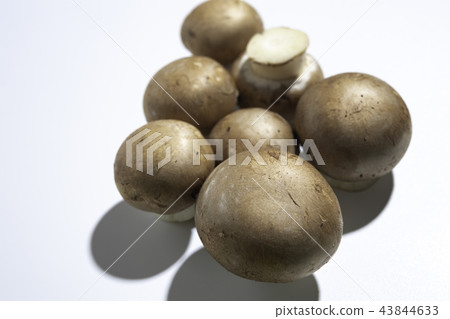 棕色蘑菇 棕色蘑菇 43844633