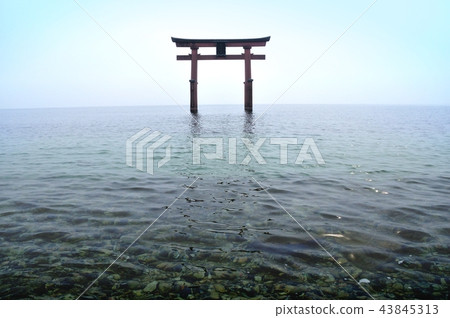 Otorii of Hakuto Shrine 43845313