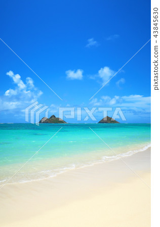 Lanikai海灘夏威夷 43845630