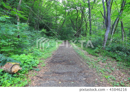 夏天沿著榆蘇河（Shindo）向Ichinokurazawa乘坐Tanigawadake 43846216