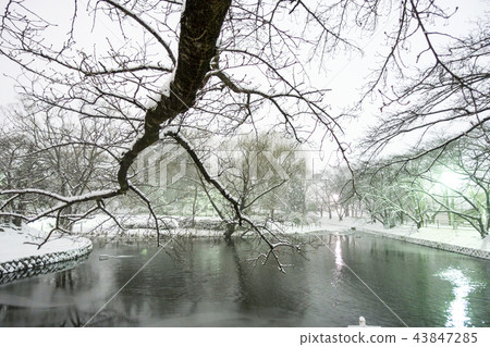 Fukushima Prefecture Koriyama Citizens' Rest Spots Hot Spots Mysterious Midwinter Kakuike Park Snow Falling Deeply Fukushima Prefecture Koriyama Citizens' Rest Spots Hot Spots Mysterious Midwinter Kakuike Park Snow Falling Deeply 43847285