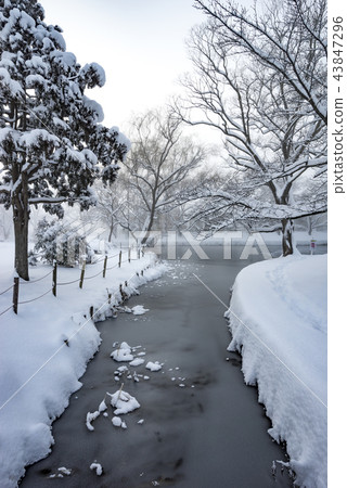 Fukushima Prefecture Koriyama Citizens' Rest Spots Hot Spots Mysterious Midwinter Kakuike Park Snow Falling Deeply 43847296
