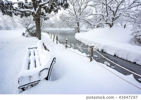 Fukushima Prefecture Koriyama Citizens' Rest Spots Hot Spots Mysterious Midwinter Kakuike Park Snow Falling Deeply 43847297