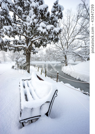 Fukushima Prefecture Koriyama Citizens' Rest Spots Hot Spots Mysterious Midwinter Kakuike Park Snow Falling Deeply Fukushima Prefecture Koriyama Citizens' Rest Spots Hot Spots Mysterious Midwinter Kakuike Park Snow Falling Deeply 43847299