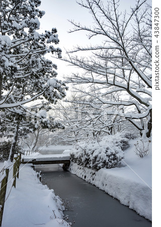 Fukushima Prefecture Koriyama Citizens' Rest Spots Hot Spots Mysterious Midwinter Kakuike Park Snow Falling Deeply Fukushima Prefecture Koriyama Citizens' Rest Spots Hot Spots Mysterious Midwinter Kakuike Park Snow Falling Deeply 43847300