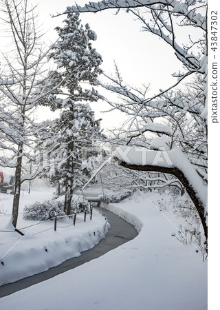 Fukushima Prefecture Koriyama Citizens' Rest Spots Hot Spots Mysterious Midwinter Kakuike Park Snow Falling Deeply Fukushima Prefecture Koriyama Citizens' Rest Spots Hot Spots Mysterious Midwinter Kakuike Park Snow Falling Deeply 43847302