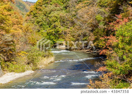 [Gunma] Fukiwari Valley 43847358