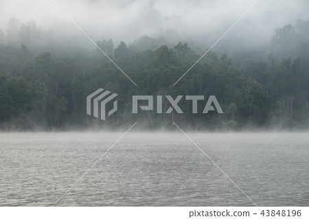 The mist in the lake in the morning. The mist in the lake in the morning. 43848196