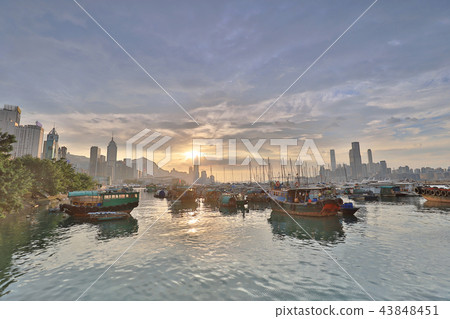 view Skyline of HK at Typhoon Shelter view Skyline of HK at Typhoon Shelter 43848451