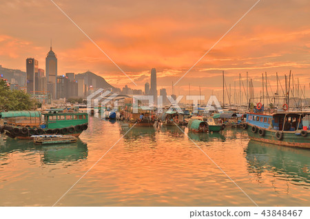 view Skyline of HK at Typhoon Shelter 43848467