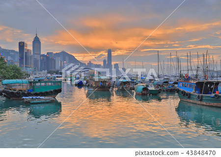 view Skyline of HK at Typhoon Shelter 43848470