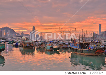 view Skyline of HK at Typhoon Shelter 43848474