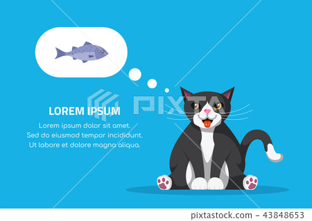 Picture of cute cat Picture of cute cat 43848653